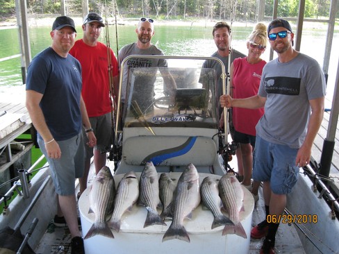 Nice Striped Bass